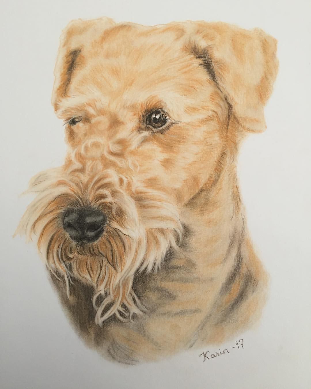 1080x1350 Airedale Terrier. Dog Portrait. Pastel Drawing By Karin Marjamaa