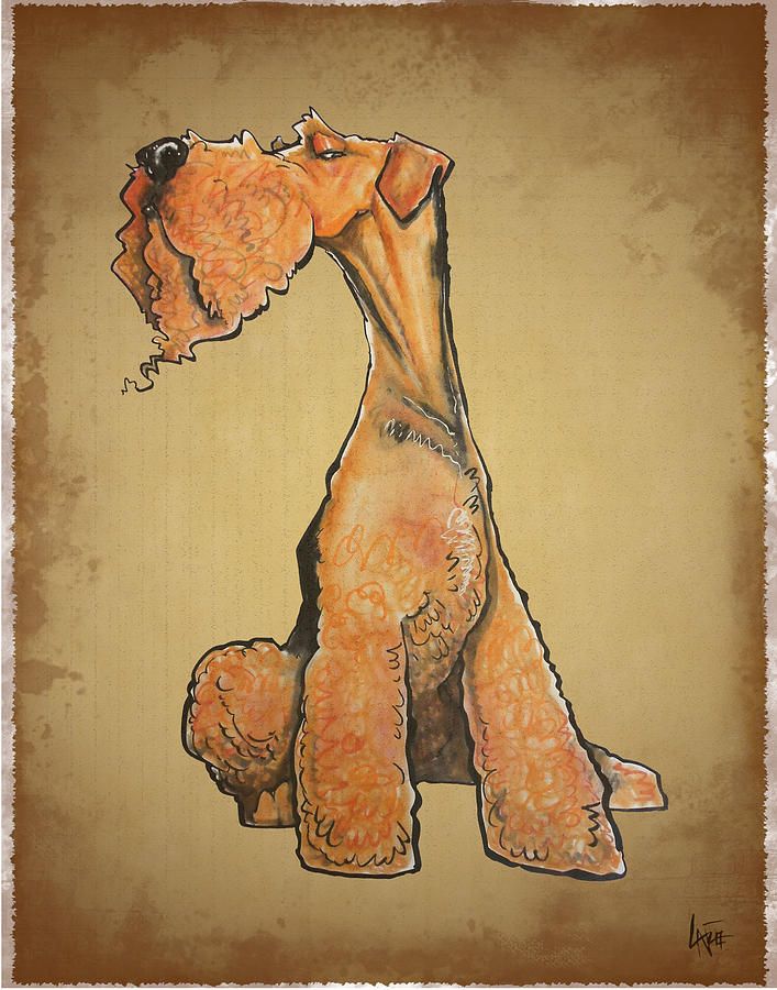 707x900 Arrogant Airedale Terrier Canvas Print Canvas Art By John Lafree