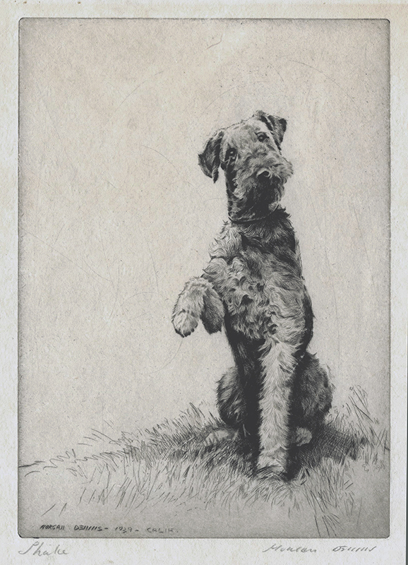 578x800 Shake Morgan Dennis C. 1929 Vintage Dogs