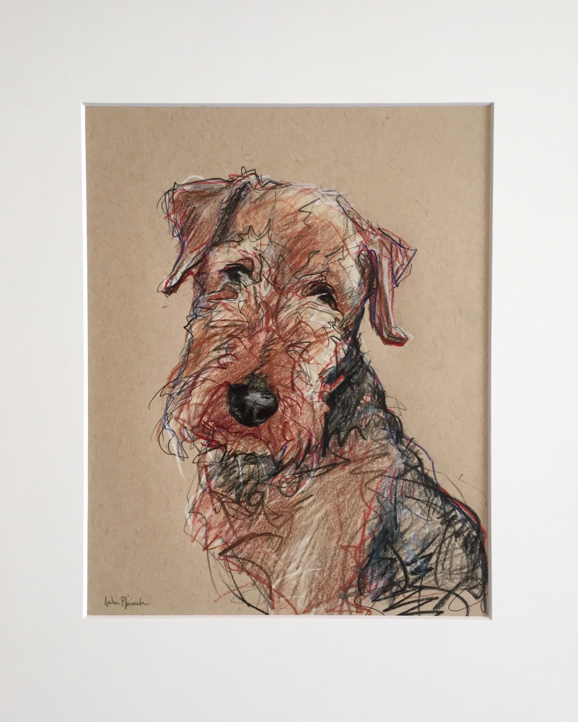 2291x2863 Winnifred Hand Drawn Pet Portrait Pencil, Colored Pencil And Ink