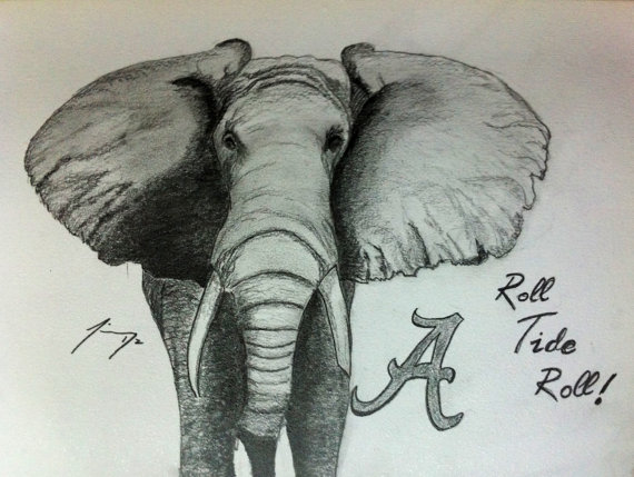 570x429 Tribute To The University Of Alabama Roll Tide