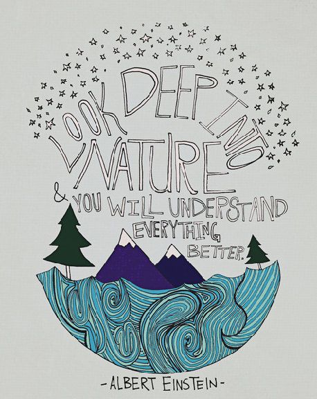 458x576 Look Deep Into Nature And You Will Understand Everything Better
