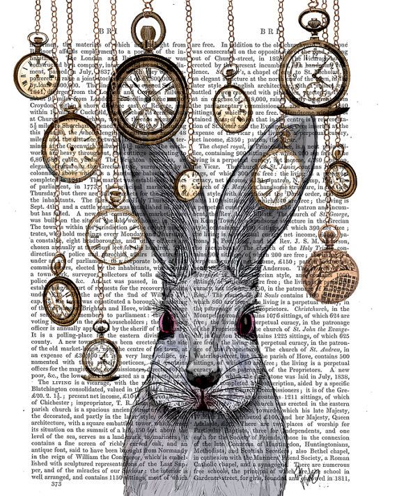 570x713 Alice In Wonderland Print Alice In Wonderland Decor White Rabbit