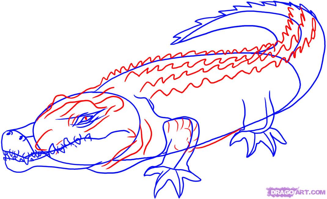 1070x652 Image Result For How To Draw Crocodile Skin Aligator Snake
