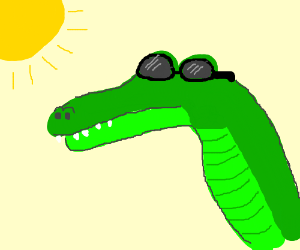 300x250 Sunglasses On An Aligator (Drawing By Fairmelody)