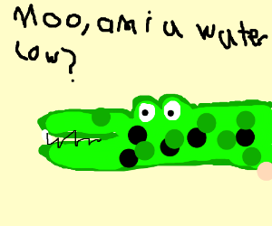 300x250 Aligator (Drawing By Ricktoria Sanchez)