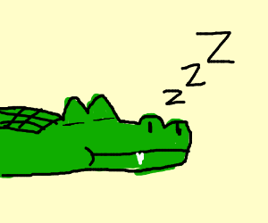 300x250 Sleeping Aligator