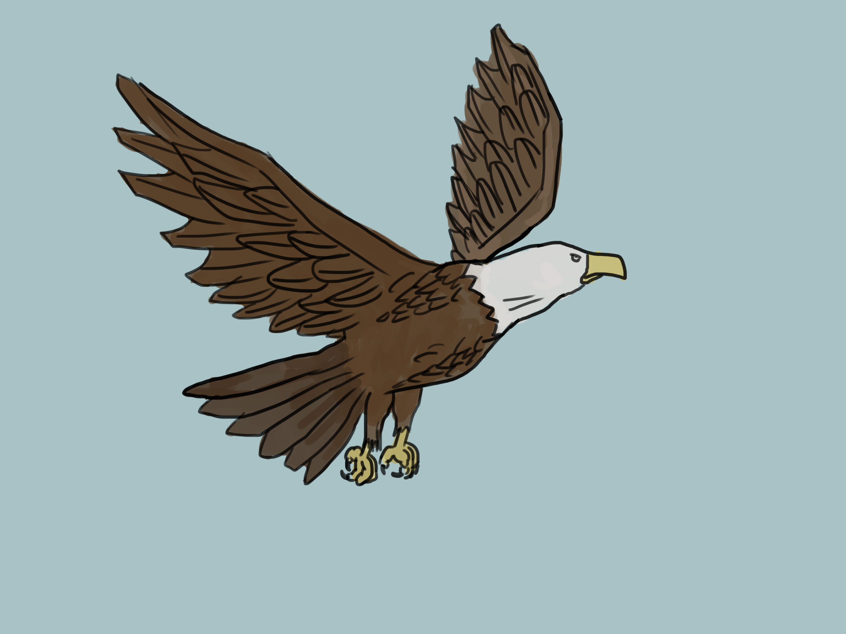 3200x2400 4 Ways To Draw An Eagle