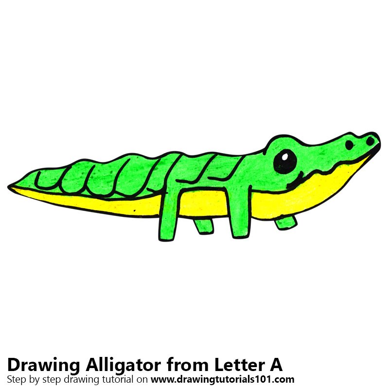 800x800 Learn How To Draw An Alligator From Letter A (Animals With Letters
