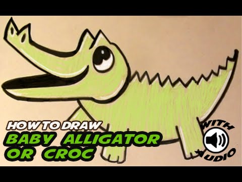 480x360 How To Draw A Baby Alligator Crocodile