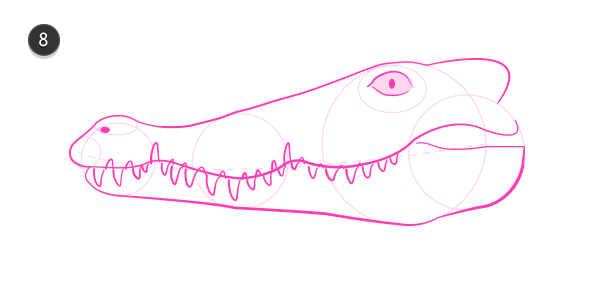 600x297 How To Draw Animals Crocodiles, Alligators, Caimans And Gharials