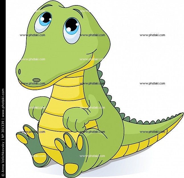 646x626 Luxury Alligator Head Drawing Google Search