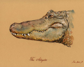 340x270 Alligator Head Art Etsy Art Alligators, Drawings