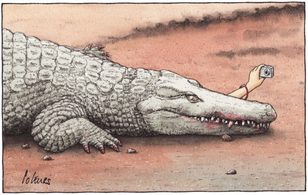 619x392 Allig Selfie.gif