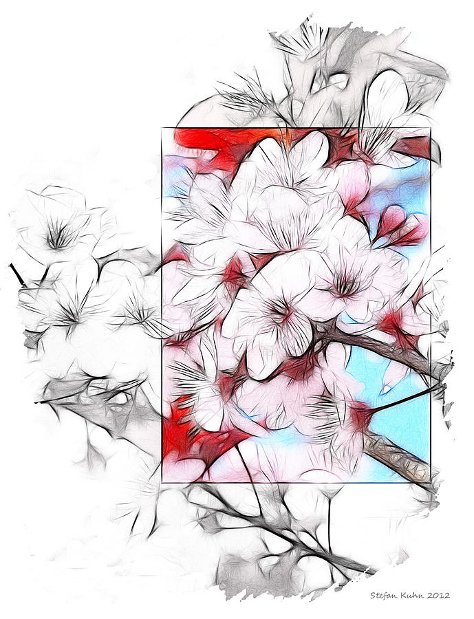 689x900 The Almond Trees Are In Blossom Drawing By Steve K