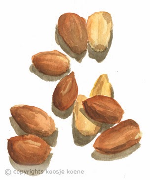 304x366 Watercolour Almonds