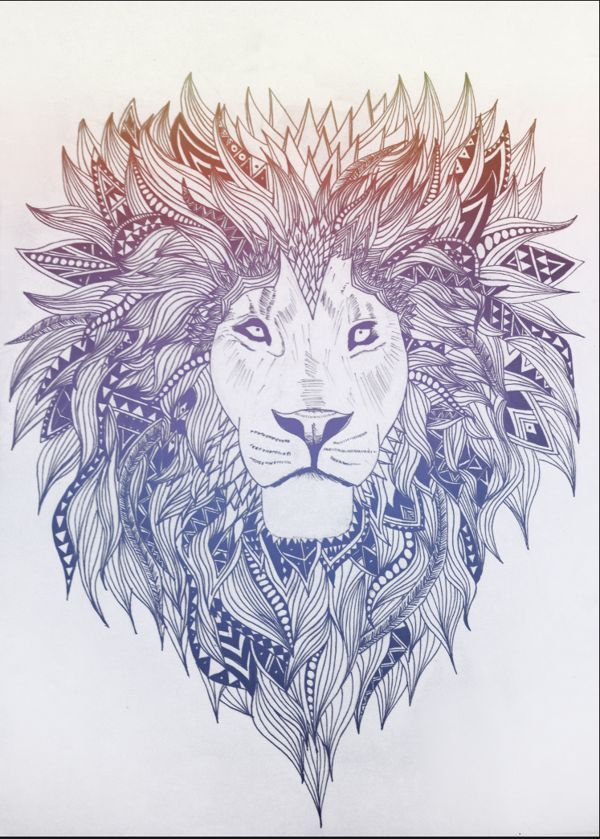 600x839 Amazing Doodle Lion, Multi Coloured Amp Lion Doodles