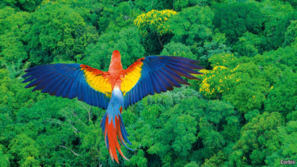 595x335 The World's Lungs The Economist