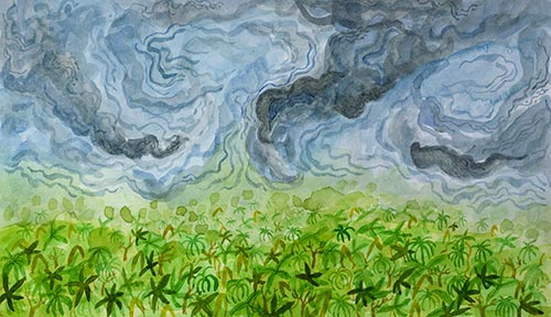 500x288 Winter In The Rainforest