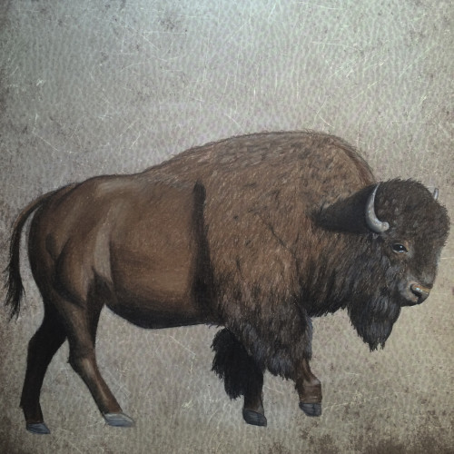 American Bison Drawing at GetDrawings | Free download