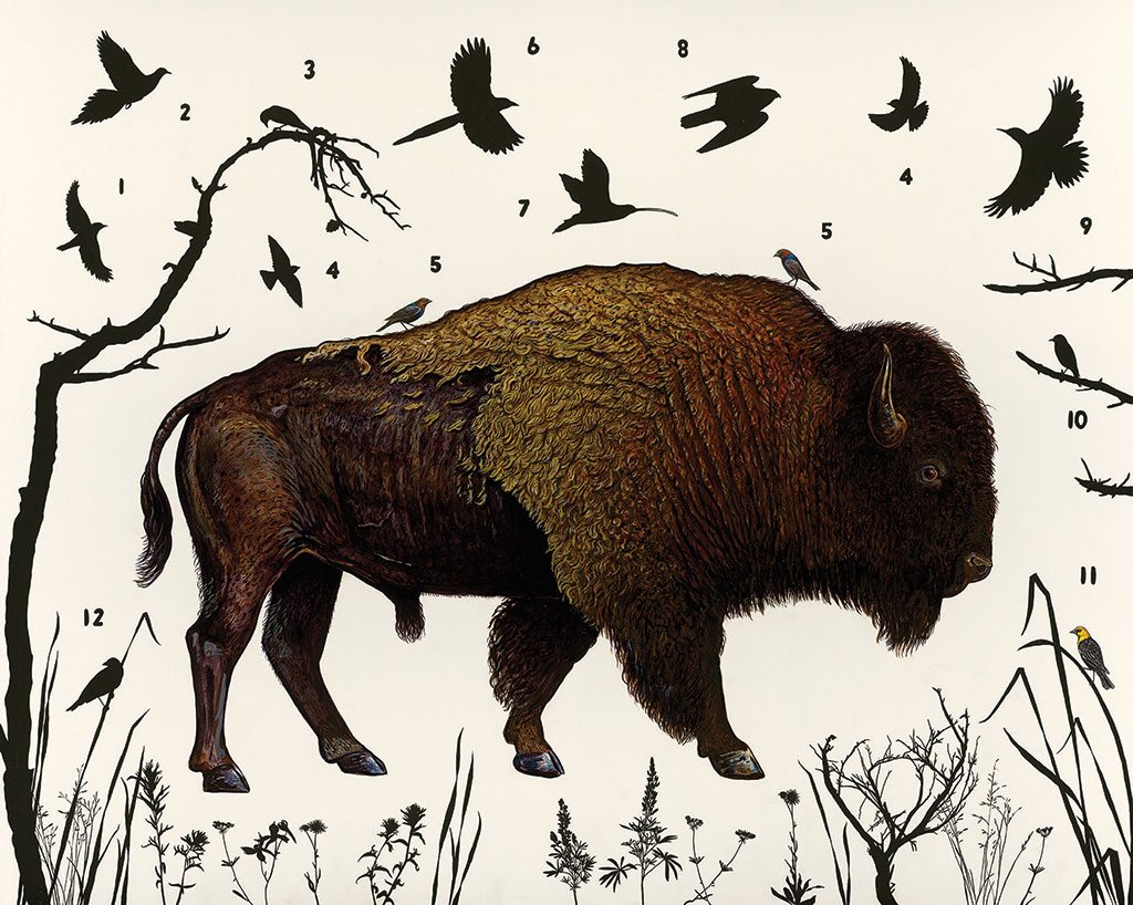 1024x818 Yellowstone Wilderness In A Box The Art Of James Prosek