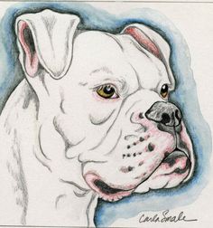 236x252 Custom Portrait Of My Brother's American Bulldog, Winter A Great