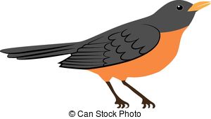 300x170 American Robin Bird Vector Illustration Clip Art Vector