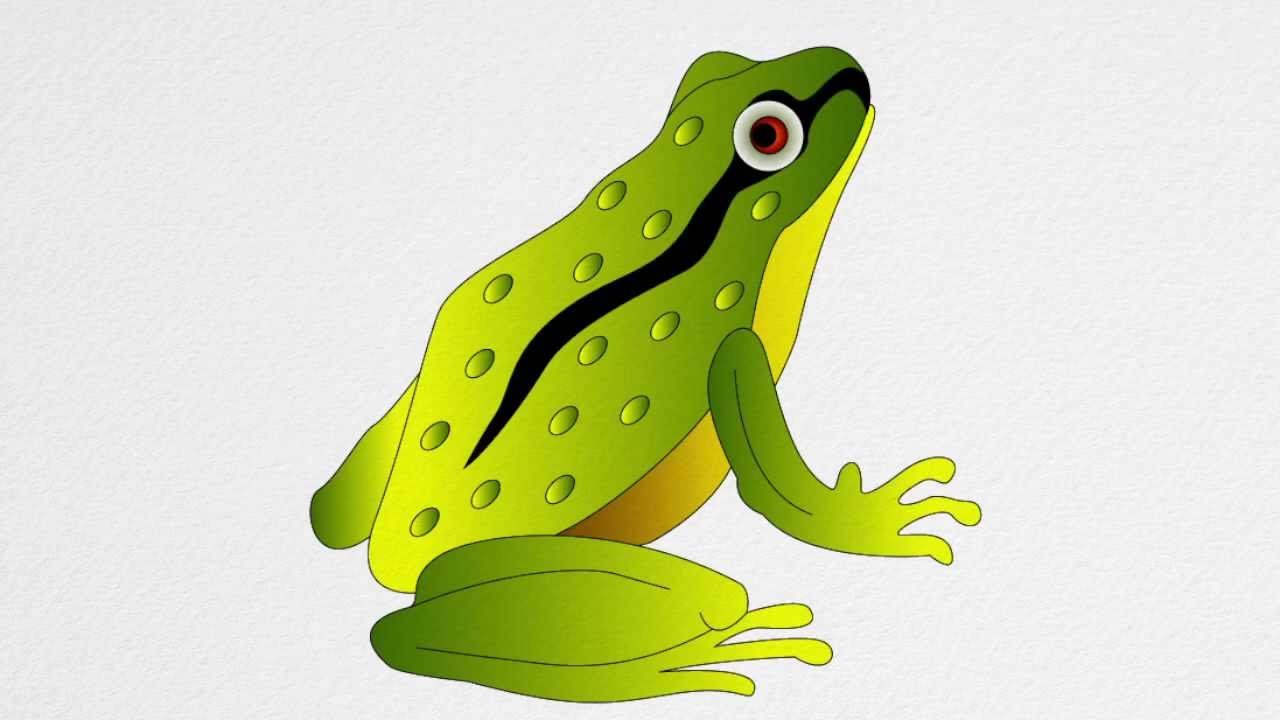 1280x720 How To Draw A Frog Step By Step