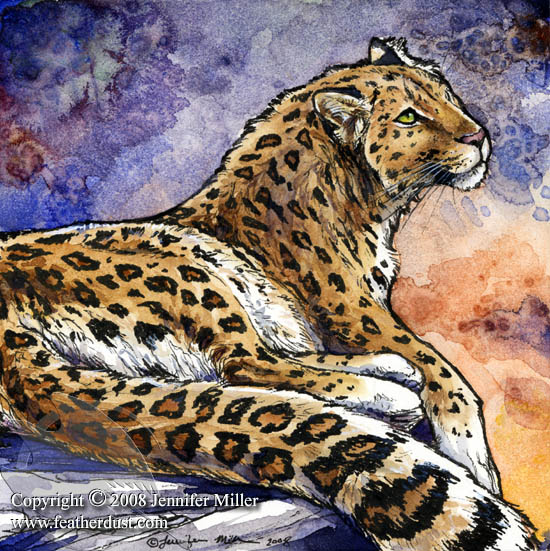 550x551 Endangered Animal Feature