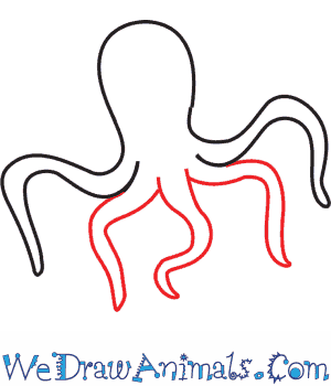 300x350 How To Draw An Octopus