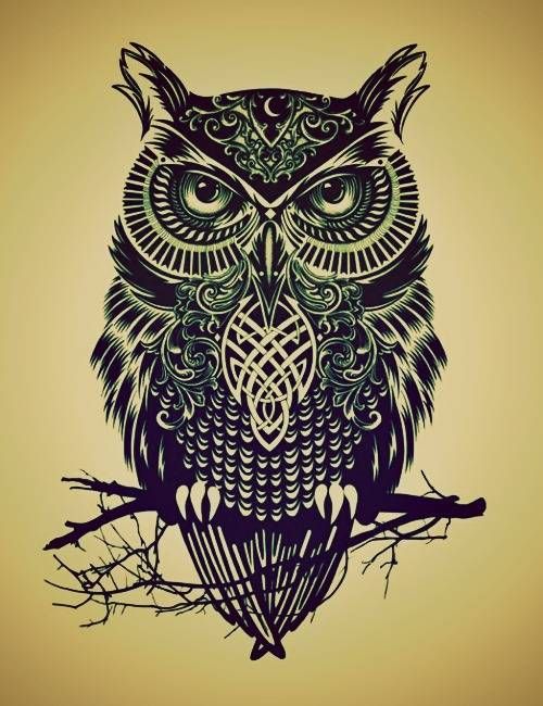 500x650 How To Draw An Owl Easy
