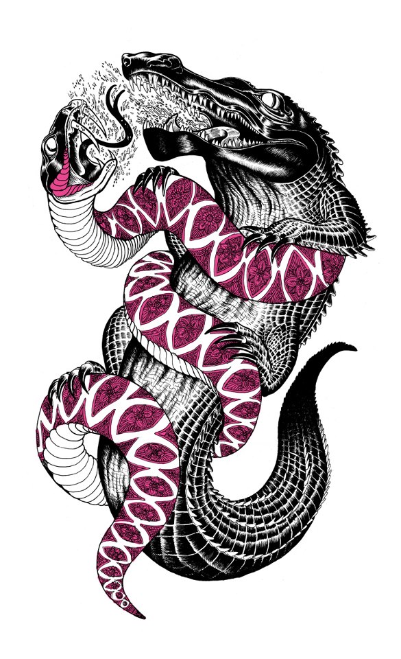 585x960 Iain Macarthur This Would Make A Good Symbol Of The Florida