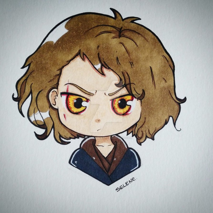 894x894 Anakin Skywalker Chibi Version By Selenekenway