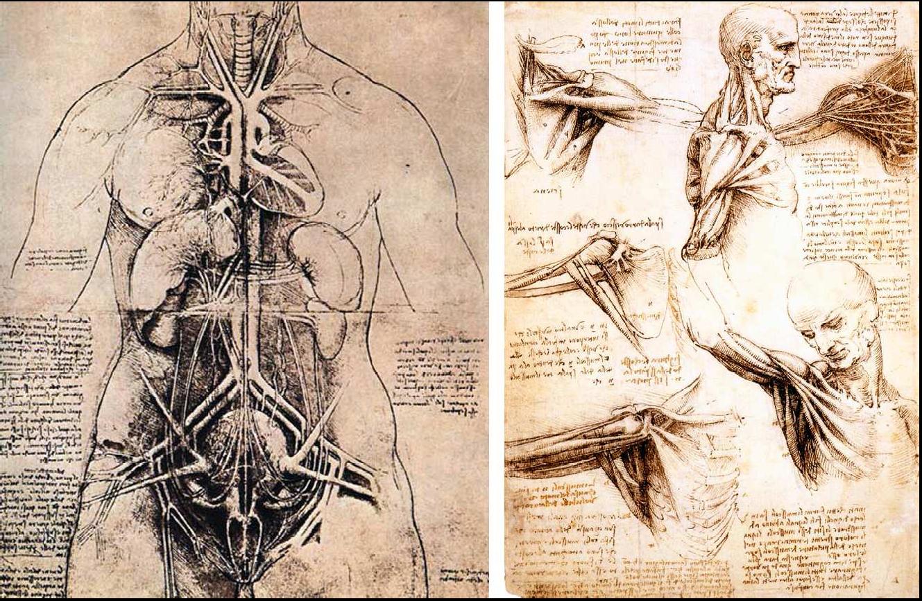 1329x867 Leonardo Da Vinci