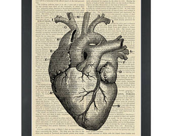 340x270 Anatomy Drawing Etsy