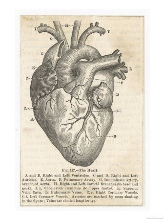 338x450 Banner.jpgthis Is A Medical