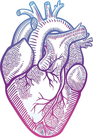 304x450 Pretty Pastel Ombre Anatomical Heart Drawing Vinyl Decal Sticker