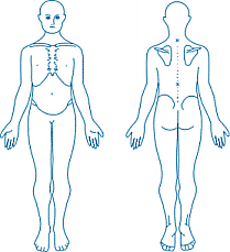 209x229 Anatomicalposition.gif