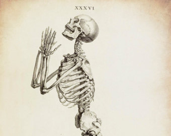 340x270 Skeleton Drawing Etsy