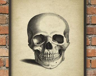 340x270 Skull Poster Etsy
