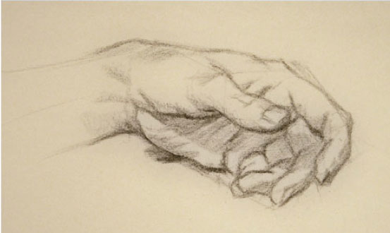 553x330 Drawing Anatomy Lesson How To Draw Hands