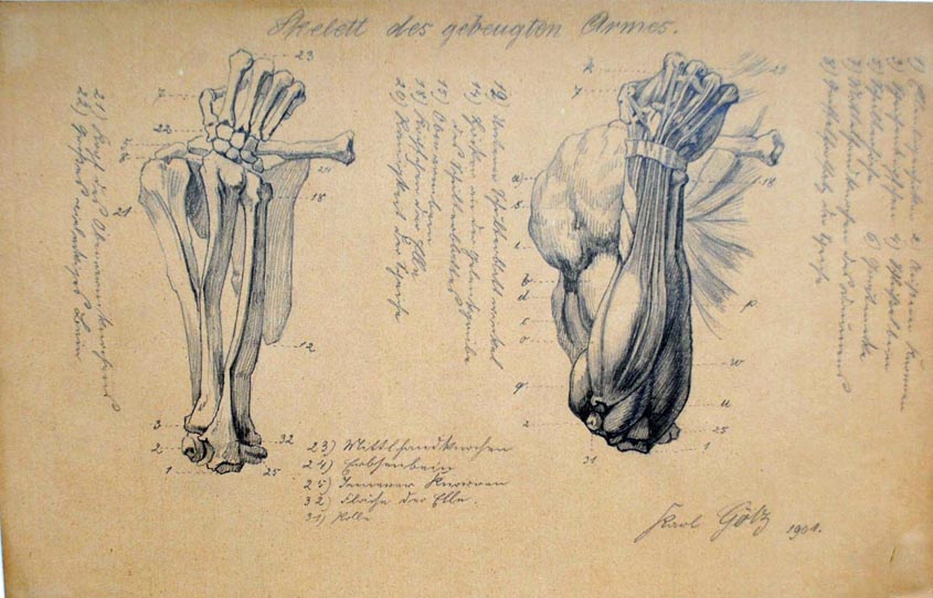 845x542 Anatomy This Handcrafted Life