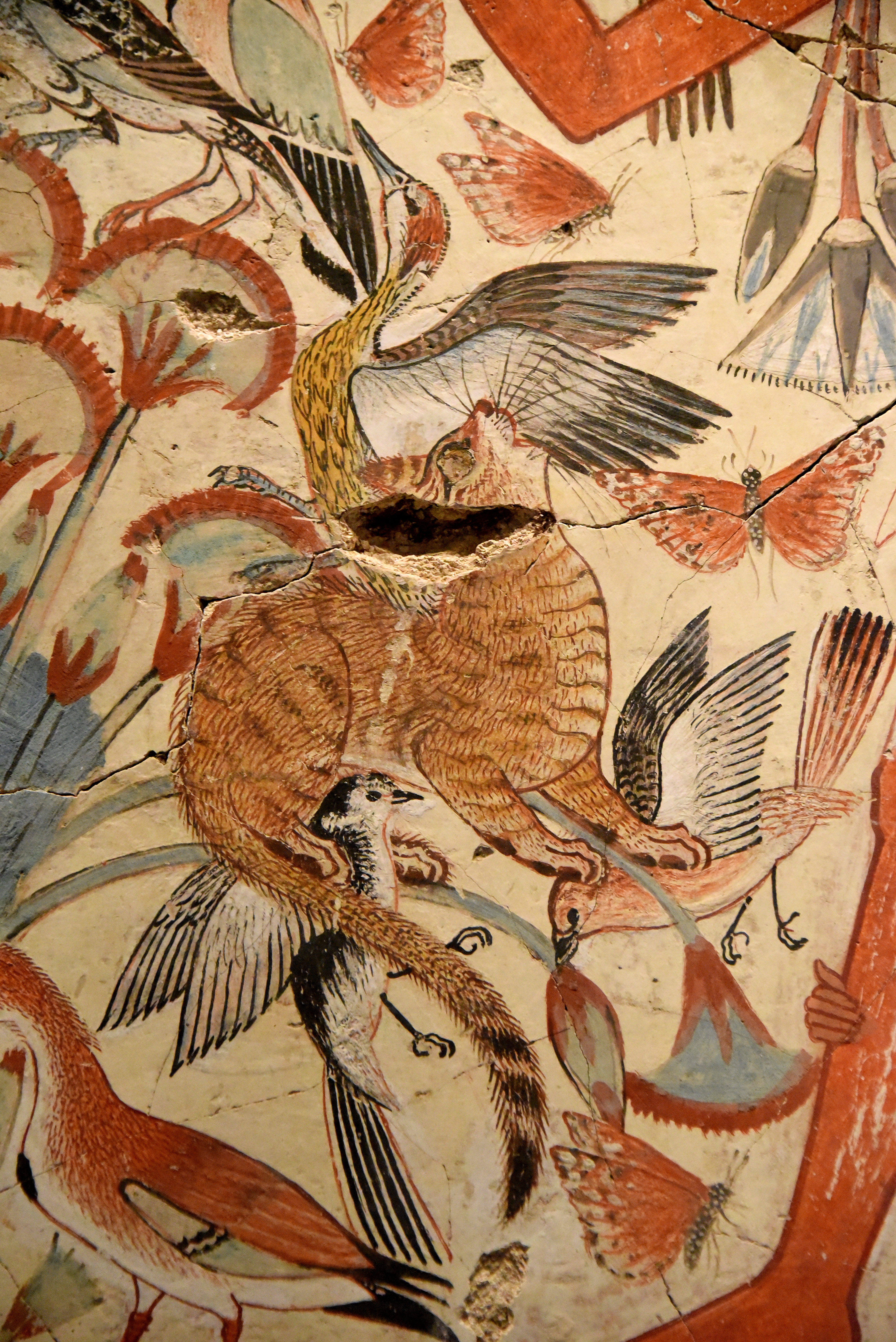 4016x6016 The Egyptian Tomb Chapel Scenes Of Nebamun