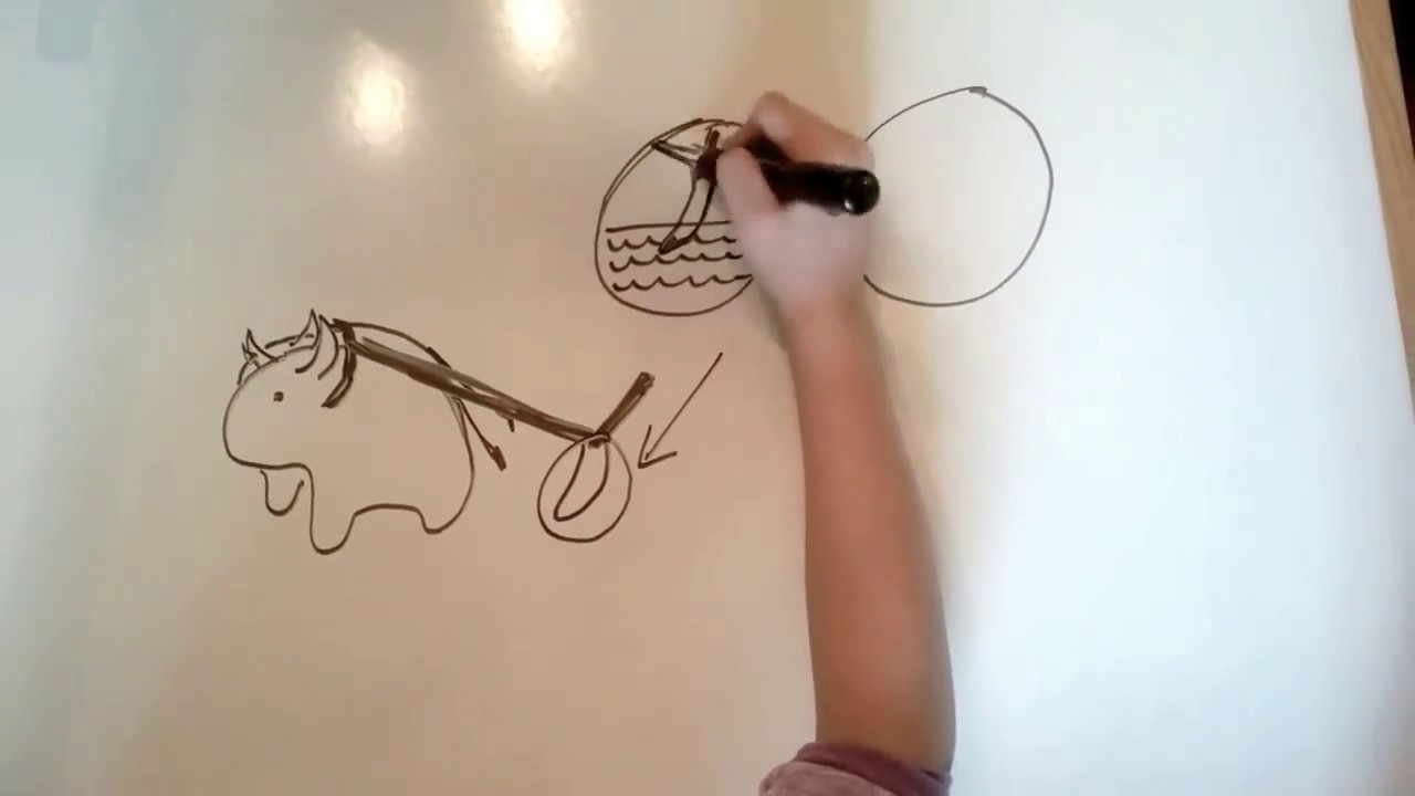 1280x720 The Ox Drawn Plow In Ancient Egypt