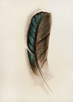 236x330 Images About Feather On Feathers, Peacock
