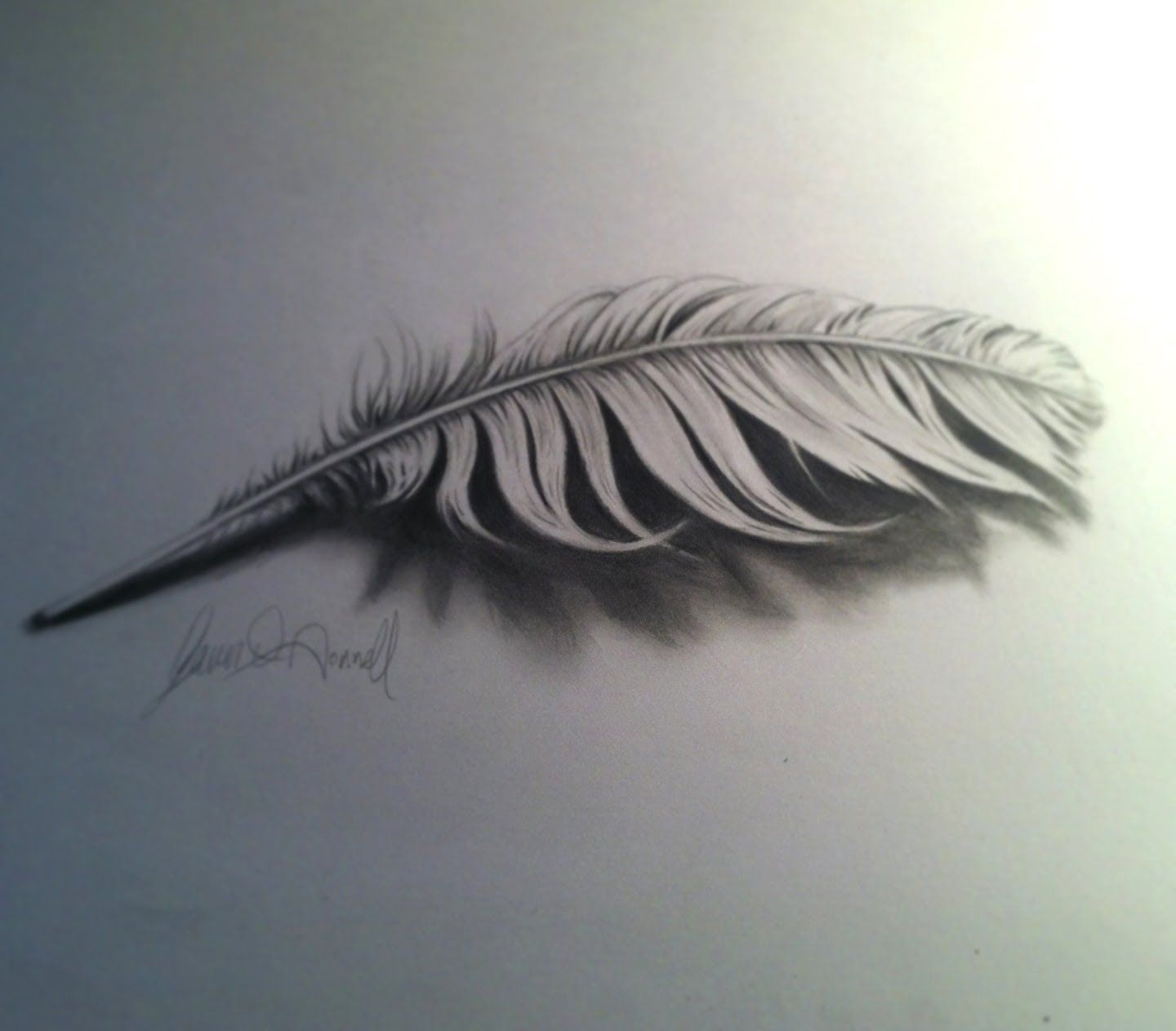 1440x1263 Feather