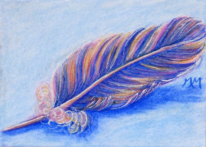 700x500 Original Aceo Art Bird Angel Feather Color Pencil Drawing Colorful