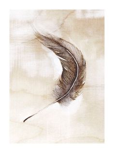 236x314 Completed Floating Feather Drawing Debbie Friedman