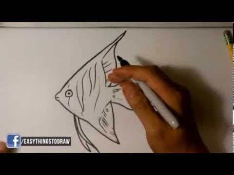 480x360 How To Draw An Angel Fish Easy Drawings