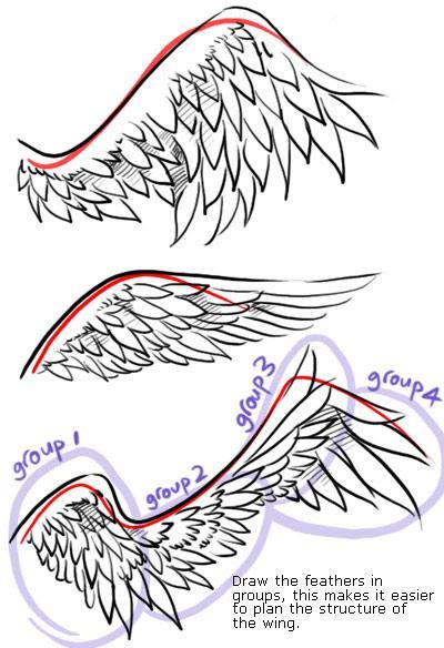 400x584 Wings Drawing Tutorial
